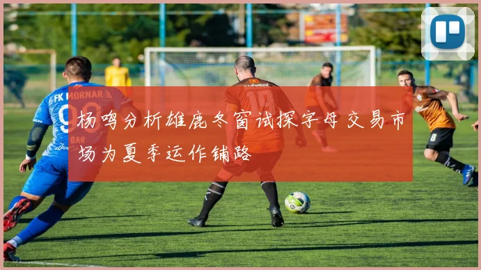 杨鸣分析雄鹿冬窗试探字母交易市场为夏季运作铺路