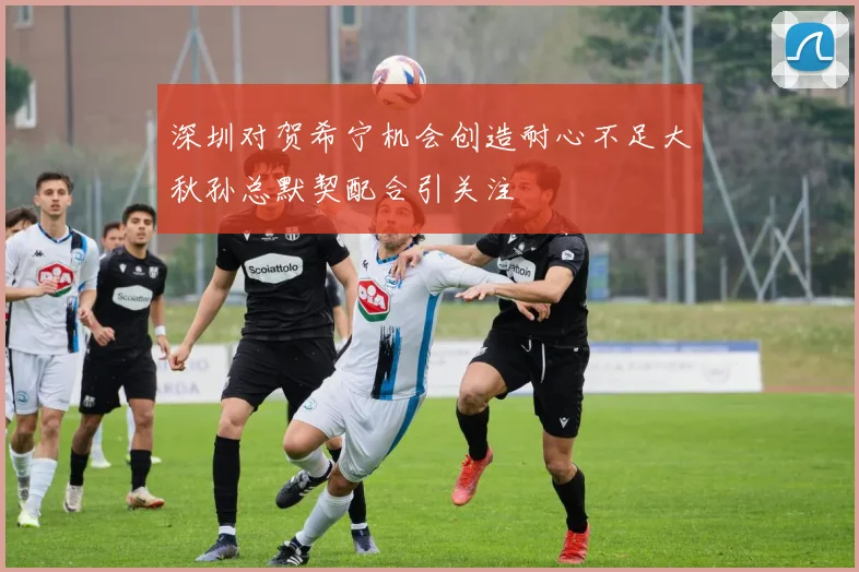 深圳对贺希宁机会创造耐心不足大秋孙总默契配合引关注